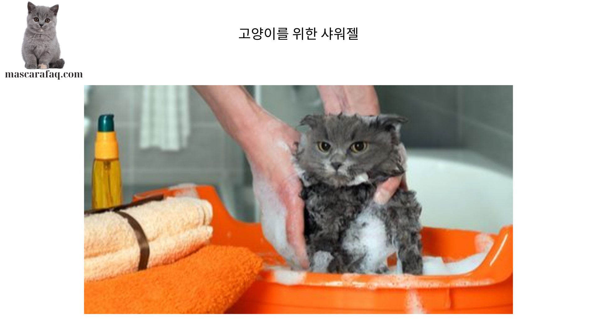 고양이를 위한 샤워젤 (3)