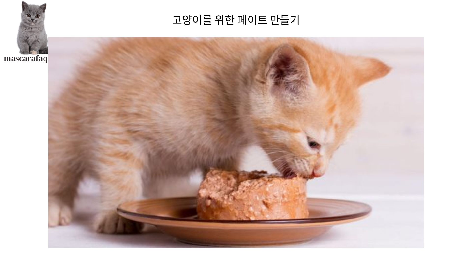 고양이를 위한 페이트 만들기